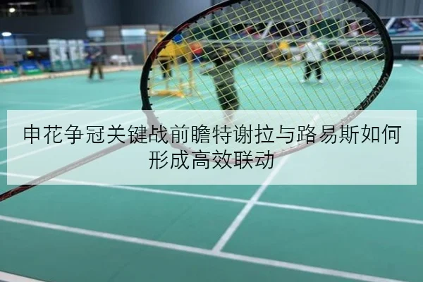 申花争冠关键战前瞻特谢拉与路易斯如何形成高效联动