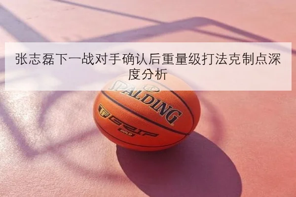 张志磊下一战对手确认后重量级打法克制点深度分析
