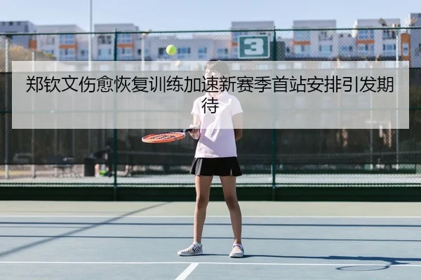 郑钦文伤愈恢复训练加速新赛季首站安排引发期待